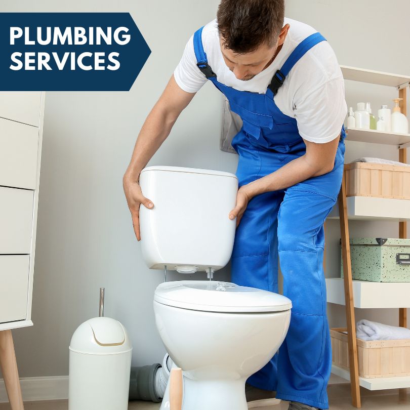 Plumbing Company in Poulan, GA